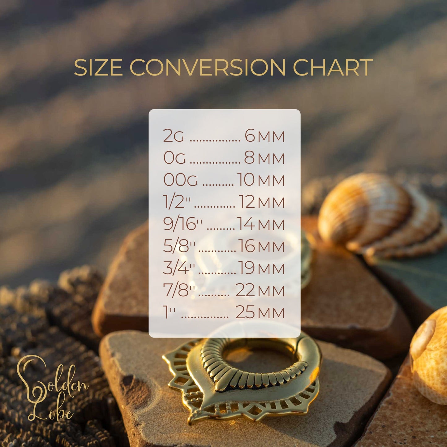 Ear Weights "Dragon"