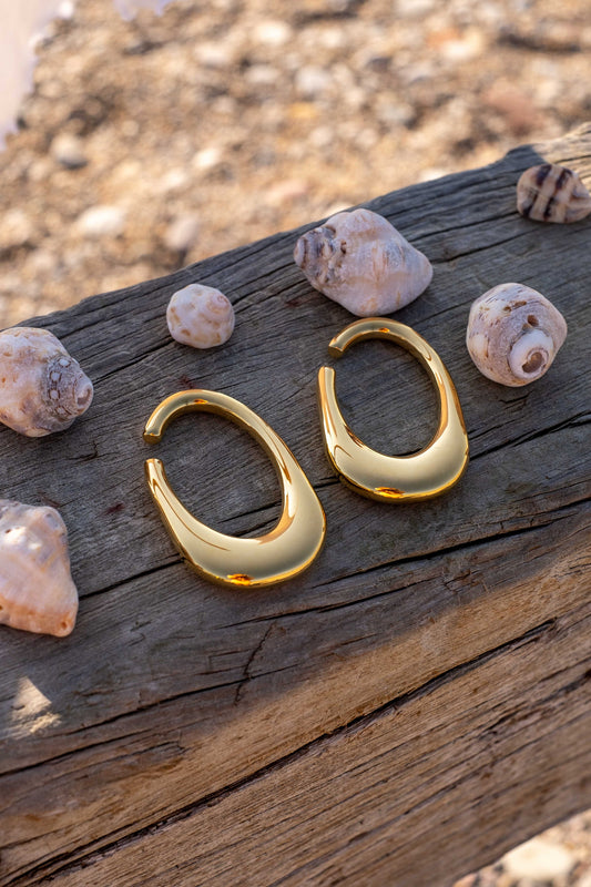 Ear Weights "Karabiner"