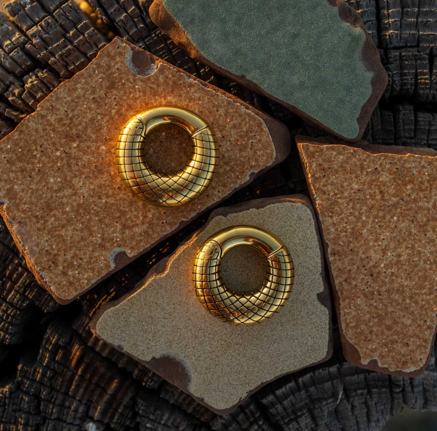 Ear Weights "Dragon"