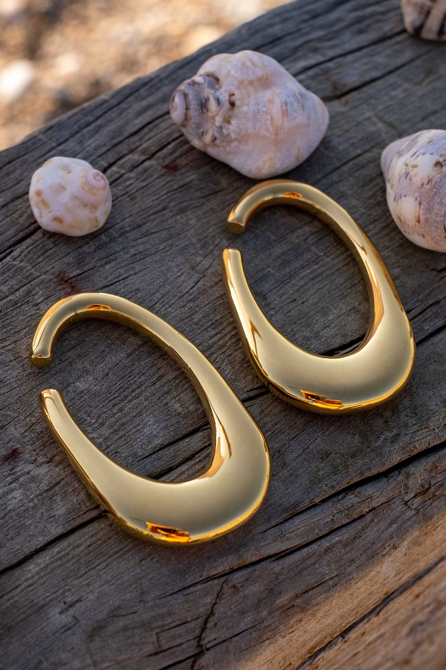 Ear Weights "Karabiner"