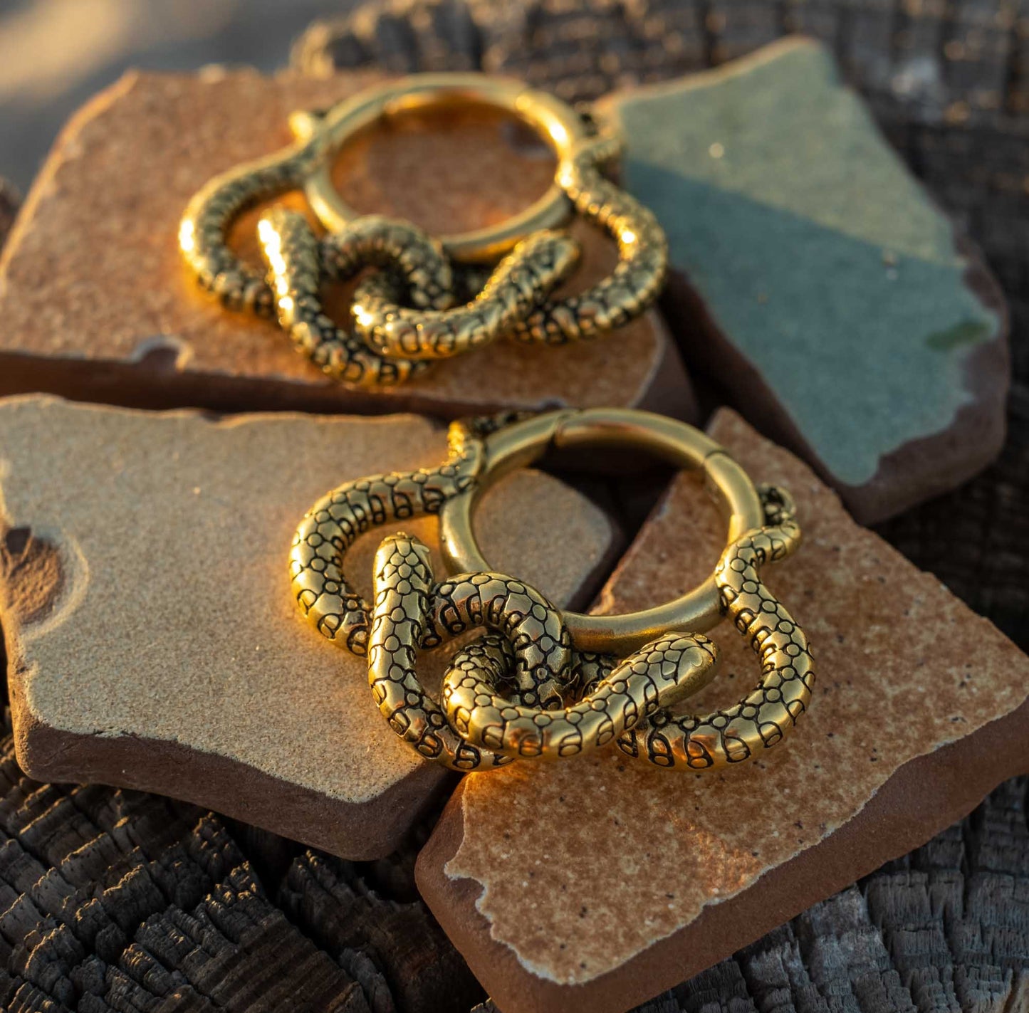 Ear Weights "Medusa"