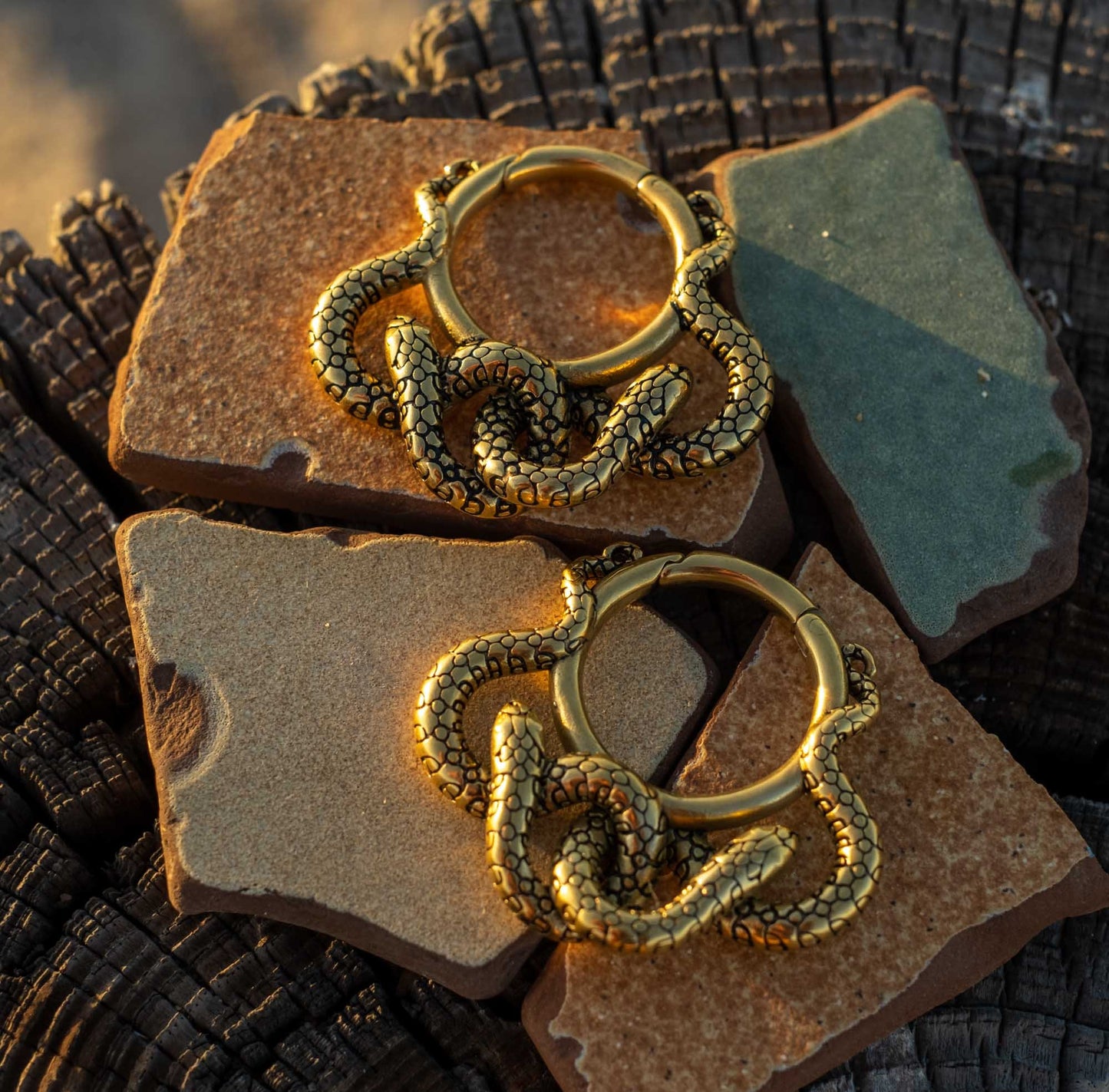 Ear Weights "Medusa"