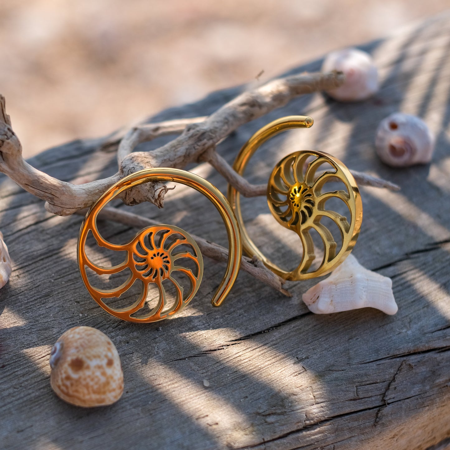 Ear Weights "Nautilus"