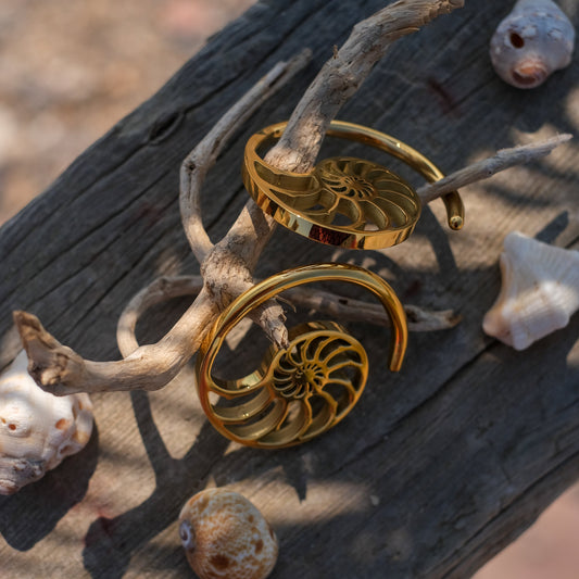 Ear Weights "Nautilus"