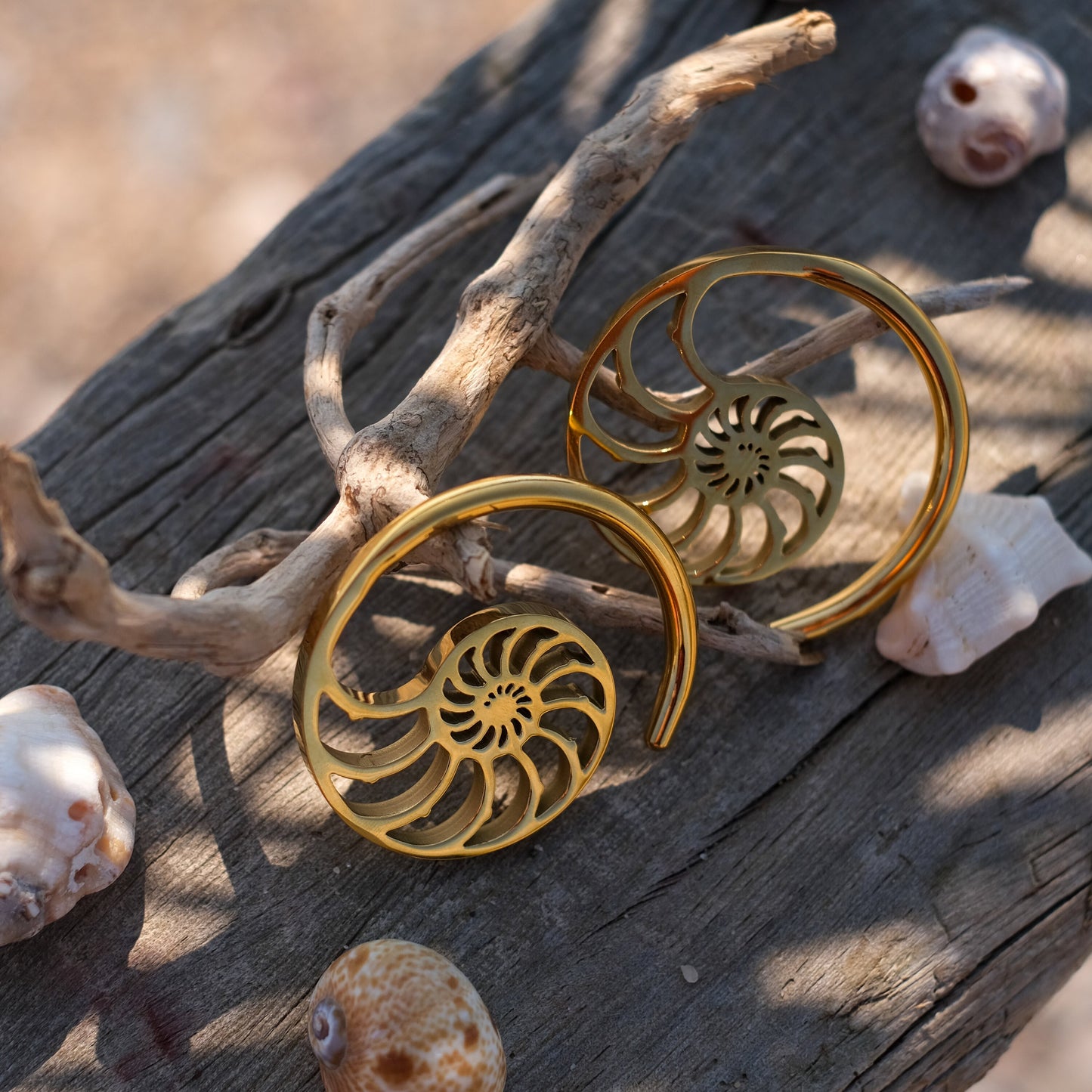 Ear Weights "Nautilus"